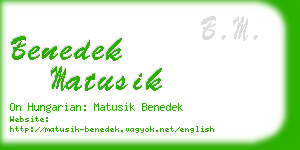 benedek matusik business card